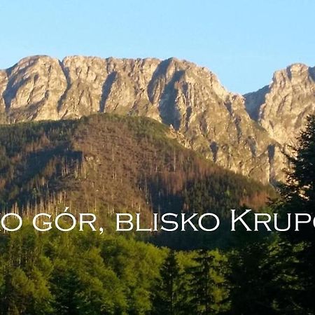 Willa Otulina Pod Giewontem Закопане Екстер'єр фото